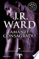 Amante Consagrado / Lover Enshrined