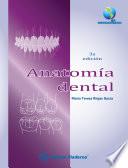 Anatomía dental