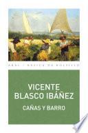 CAÑAS Y BARRO