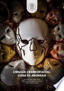 Cirugía craneofacial: Guías de abordaje