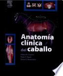 Clayton, H.M., Anatomía clínica del caballo ©2007