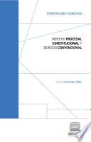 Derecho procesal constitucional y derecho convencional