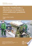 Derechos Ambientales y afectaciones en tiempos de crisis ambiental y pandemia, volumen I