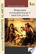 Derechos fundamentales y proceso justo
