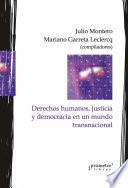 Derechos humanos, justicia y democracia en un mundo transnacional
