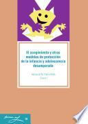 El acogimiento y otras medidas de protección de la infancia y adolescencia desamparada