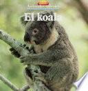 El koala
