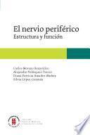 El nervio periférico