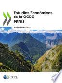 Estudios Económicos de la OCDE: Perú 2023
