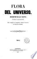 Flora del Universo