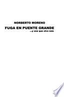Fuga en puente grande