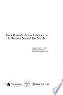 Guía ilustrada de los Colibríes de la Reserva Natural Río Ñambi