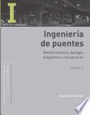 Ingeniería de puentes