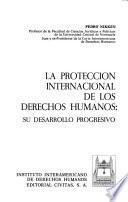 La protección internacional de los derechos humanos