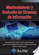 Mantenimiento y Evolución de Sistemas de información