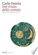 Nel vivaio delle comete