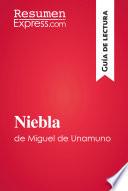 Niebla de Miguel de Unamuno (Guía de lectura)