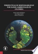 Perspectiva de responsabilidad por daños ambientales en Colombia