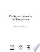 Plantas medicinales de Tinguipaya