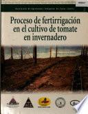 Proceso de fertirrigación en el cultivo de tomate en invernadero