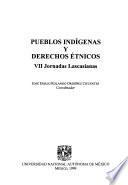 Pueblos indígenas y derechos étnicos