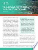 Seguridad de la tenencia: Por qué es importante