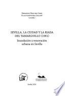 Sevilla, la ciudad y la riada del Tamarguillo (1961)