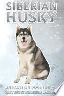 Siberian Husky