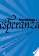 Sorprendidos por la Esperanza