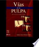 Ví­as de la pulpa, 8a ed. ©2002