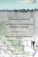 Violencia juvenil y acceso a la justicia.