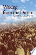Waking from the Dream